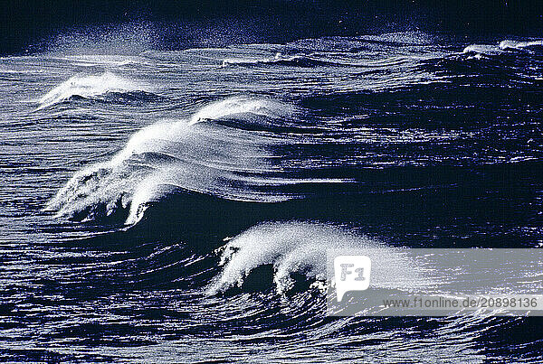 Australia. Stormy waves of Pacific Ocean.