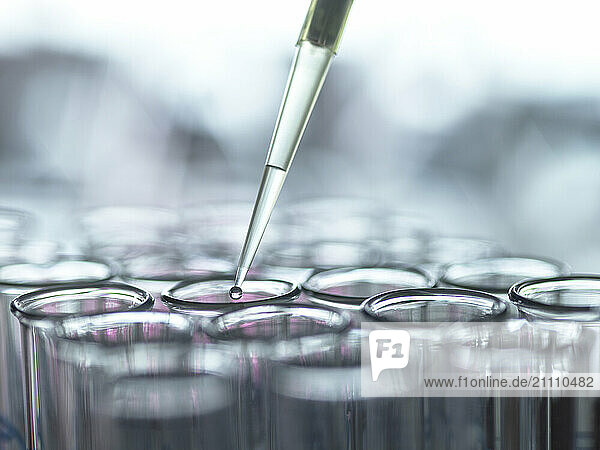Extraction of samples from test tube using pipette in laboratory
