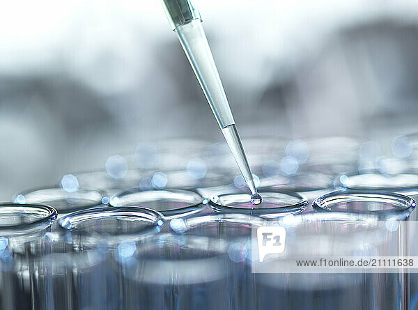 Liquid samples extracted from test tube using pipette in laboratory