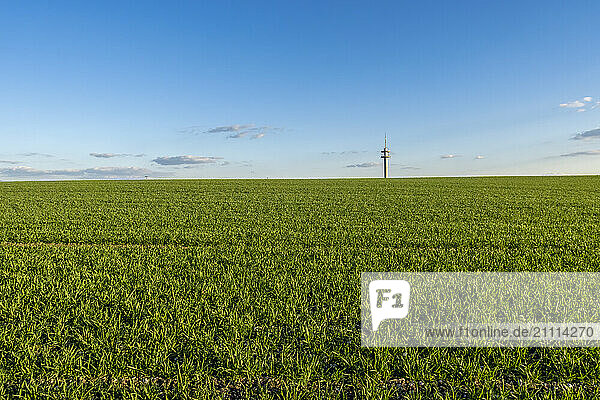 Distant communication tower at green field under blue sky