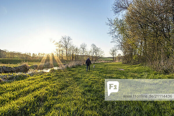 Man walking on meadow at sunset