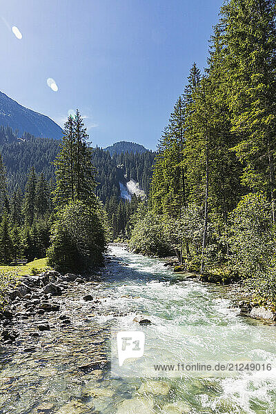 Beautiful river landscape in Hohe Tauern National Park  Austria with clear water  fir trees  and mountains.