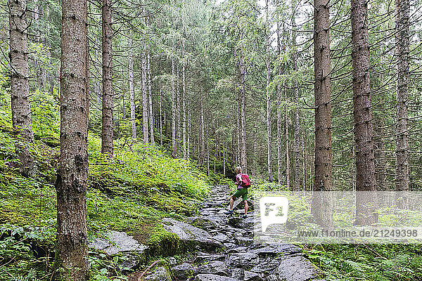 Person resting on hiking trail in Hohe Tauern National Park  Salzburg Province  Austria.
