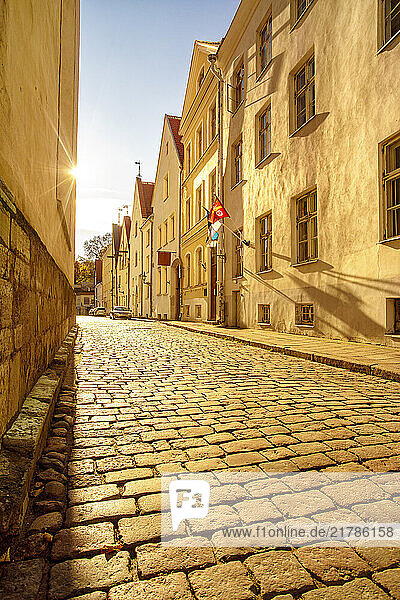 Cobblestone street in the old town of Tallinn with historic European architecture and sunlight casting shadows on the buildings  Estonia