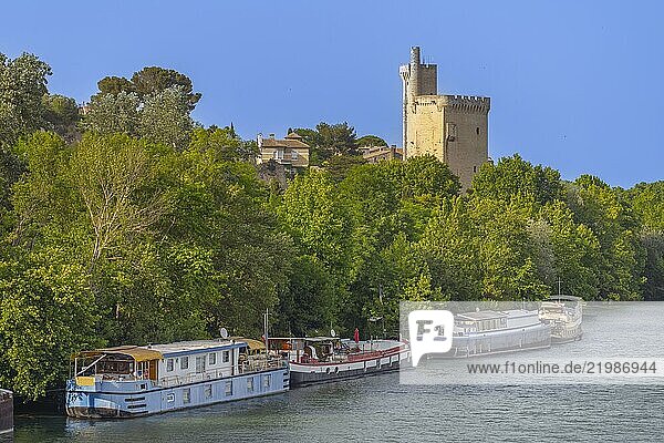 Avignon Tower  Rhone River  Avignon  Provence-Alpes-Cote d Azur  Rhone Valley  France