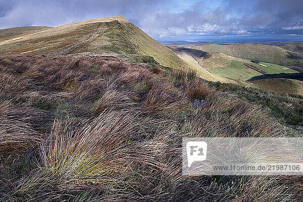 Colourful grasses and Cadair Berwyn  Berwyn Mountains  Denbighshire  North Wales  United Kingdom  Europe