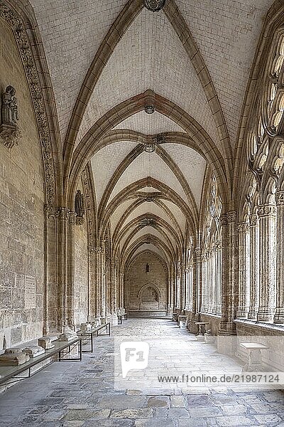 Cathedral of the Holy Savior  Oviedo  Asturias  Spain