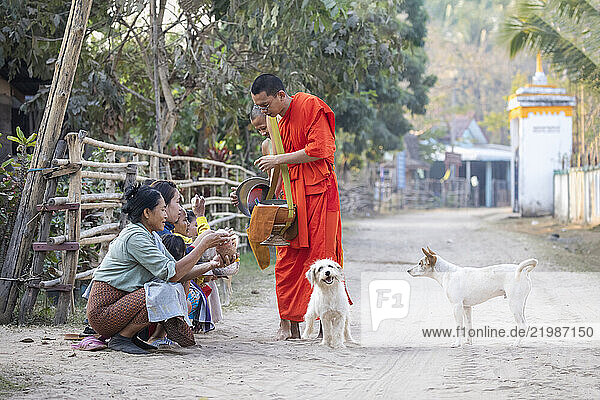 Local women giving rice offering to Buddhist monks  early morning  Don Daeng island  Mekong River  Muang  near Pakse  Champasak Province  Laos