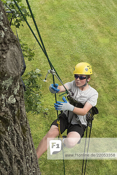 Teenage boy (16-17) tree climbing