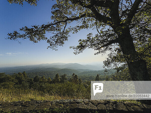 Trees and mountains with old stone wall in foreground