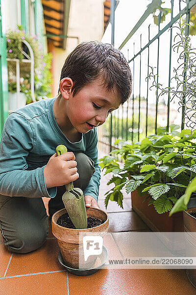Little boy gardening on balcony