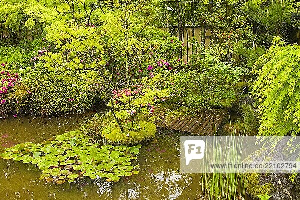 Japan  Kyoto  Taizoin Zen Temple  garden