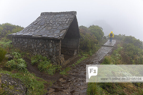 . Woman climbing in the rain.