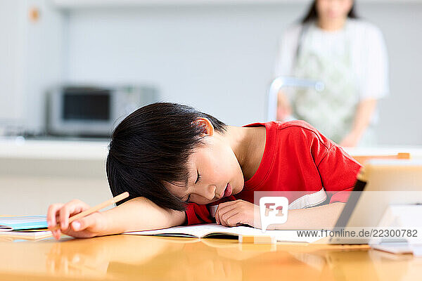 A Boy Sleeping On A Table