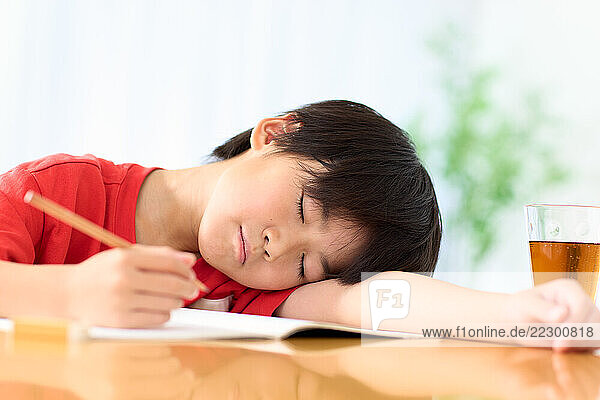 A Young Boy Sleeping On A Table With A Pen And A Drink