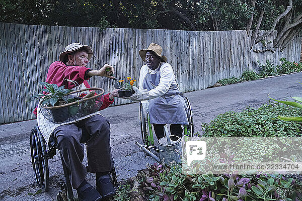 Disabled men gardening