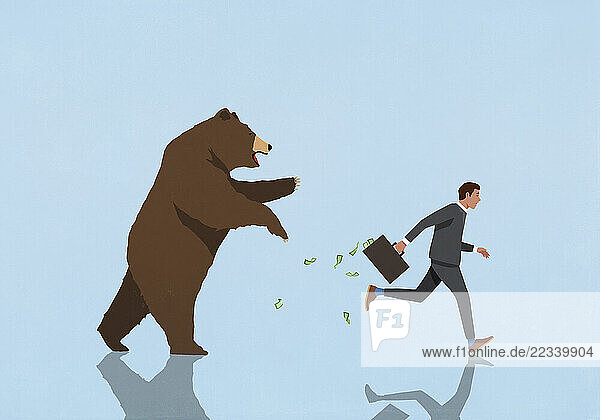 Bear chasing businessman investor with money briefcase on blue background