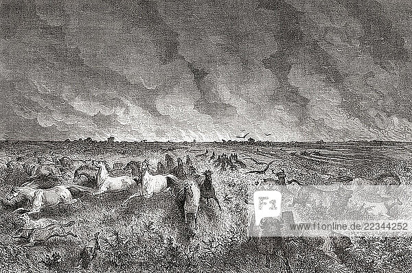 A prairie fire near the Walnut Creek river  seen during the expedition of Balduin Möllhausen to America  1853 -1854. From Le Tour du Monde  published Paris  1860.