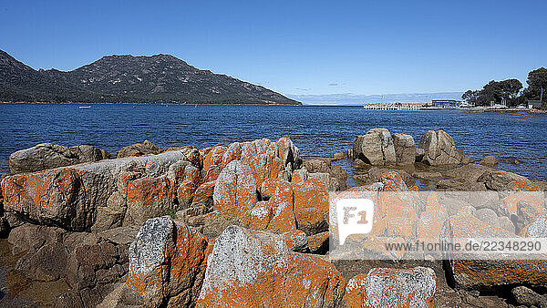 Orange-hued rocks and a coastal landscape in Freycinet National Park  Tasmania; Tasmania  Australia