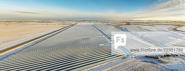 Aerial view of a large solar farm in the winter with blue sky and clouds  North of High River  Alberta; Alberta  Canada