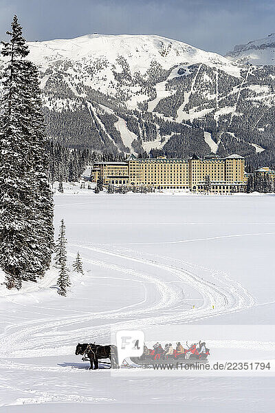 Horse-drawn large sleigh with people on the snowy frozen Lake Louise with a chateau and a snow-covered ski hill in the background  Banff National Park; Lake Louise  Alberta  Canada