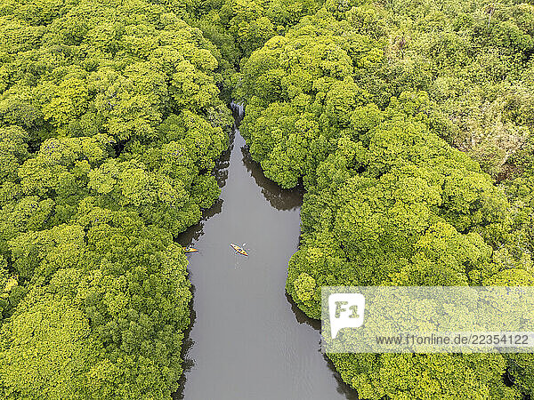 Aerial view of two kayakers paddling in a channel through a mangrove forest off the island of Yap  Micronesia; Yap  Micronesia