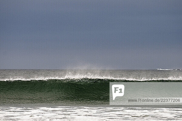 TOFINO  BC - DECEMBER 1: A wave breaks along a beach on the west coast of Vancouver Island  British Columbia near the town of Tofino on December 1  2008. (Photo By Dan Rafla/Aurora)
