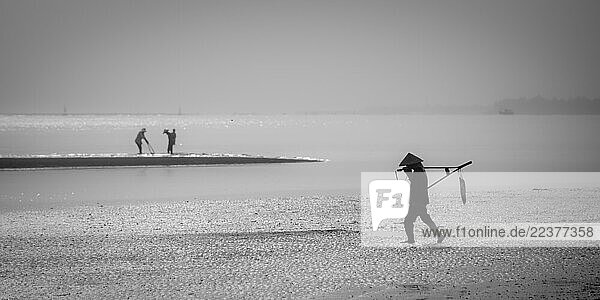Local people looking for clams on a beach in evening light on Cat Ba Island  Vietnam.