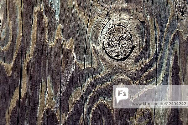 Close view,Color,Color,Detailed image,Formats