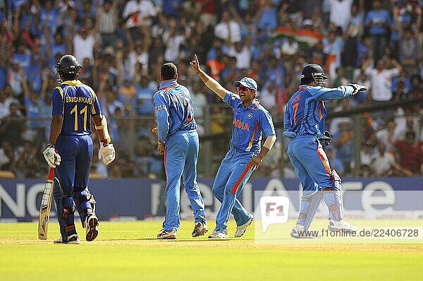 Asia,Asian,Color,Color,Dhoni