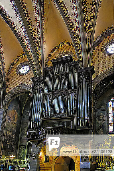 Kirche  Basilique-Cathédrale Saint-Jean-Baptiste  Orgel