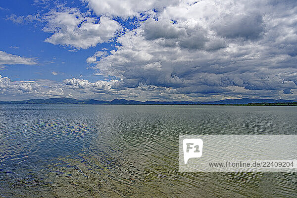 Park  Parco Regionale del Lago Trasimeno  Lago Trasimeno