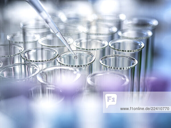 Pipette adding sample to test tubes in a clinical trial setting