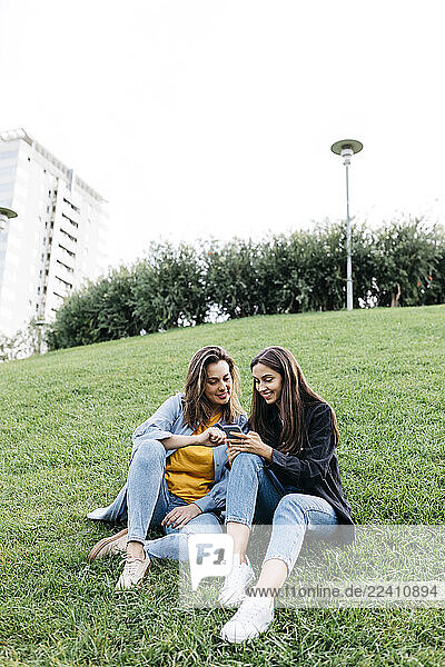 Two friends looking on the smartphone  sitting on a meadow of a park