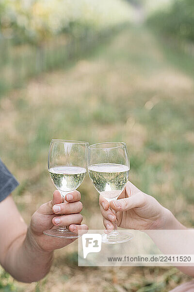 Young couple toasting with Prosecco in the vineyards  close-up