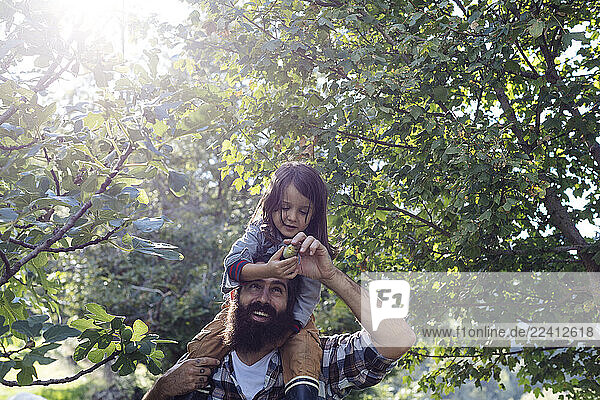 Father with kid on his shoulders in an orchard