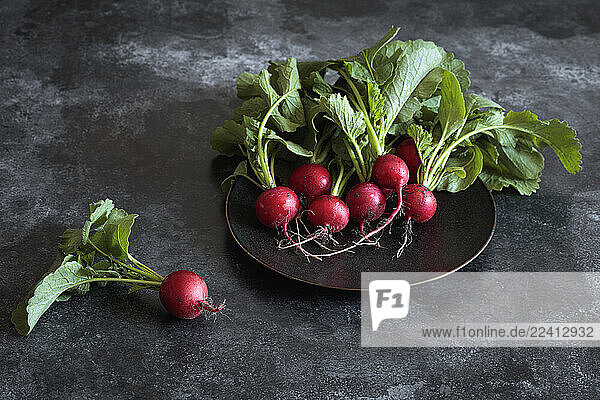 Fresh radishes with green leaves on a plate in a studio setting