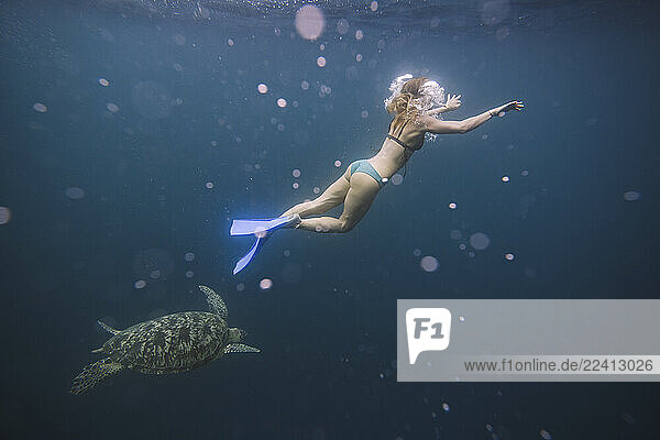 Indonesia  Bali  Underwater view of female diver swimming alongside lone turtle
