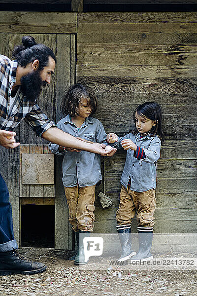 Father with two kids collecting eggs at chicken coop on an organic farm