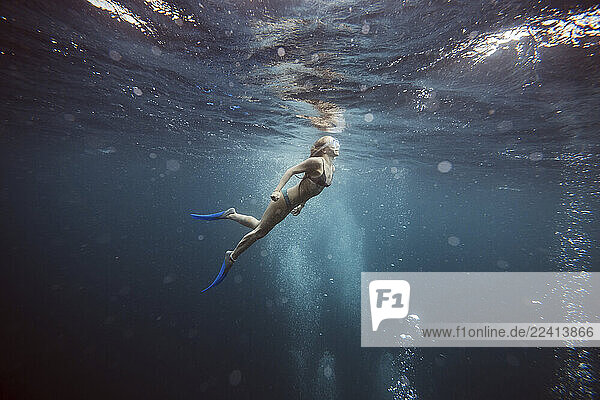 Woman underwater  Gili Meno  Gili islands  Bali  Indonesia
