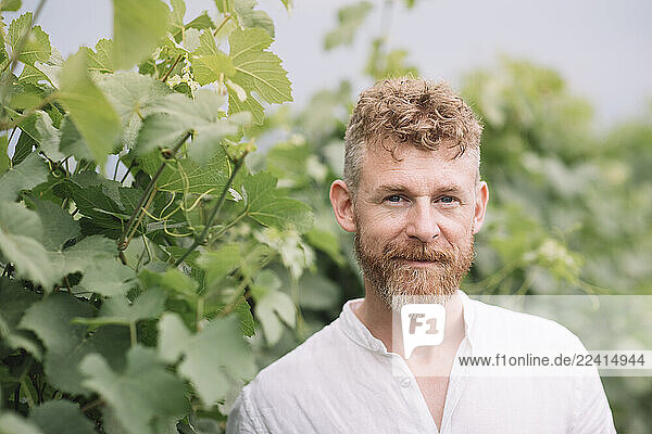 Portrait of bearded man in front of grapevine