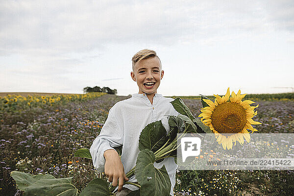 Portrait of a happy boy holding a sunflower in a field