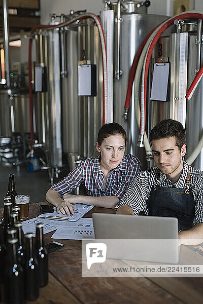 Young entrepreneurs working at a brewery