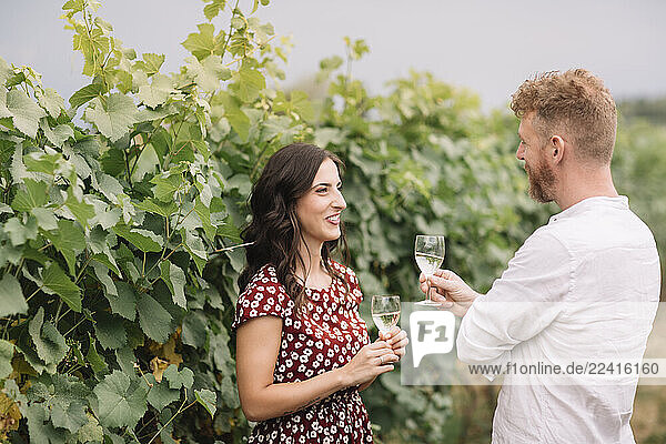 Couple drinking white wine in the vineyards
