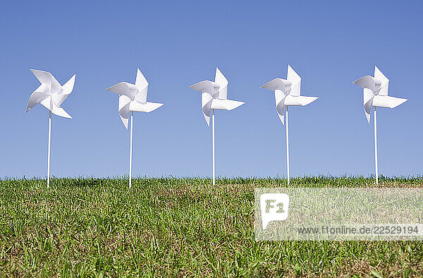 Row of white pinwheels in field