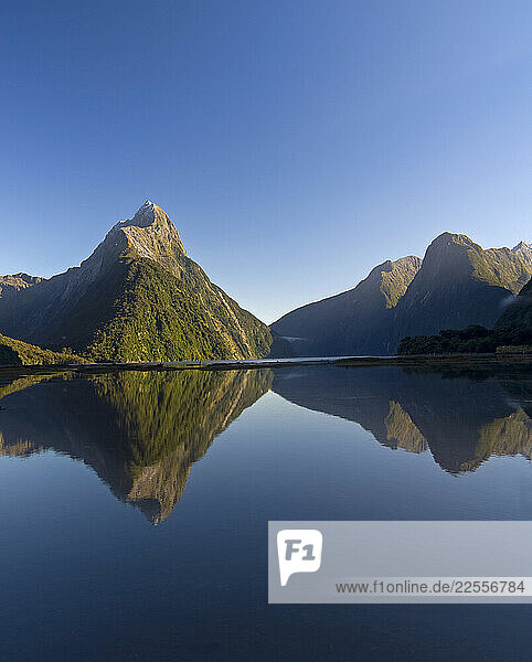 Landmark  Mitre Peak  is reflected in Milford Sound on a rare calm morning on the South Island of New Zealand in fjordland National Park.