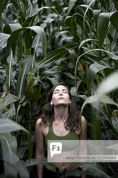 A beautiful young woman stretches towards the sky in the middle of a New Hampshire corn field.