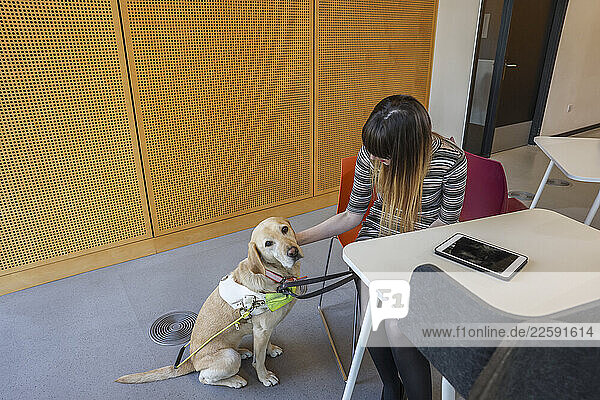 Blind woman with guide dog in office