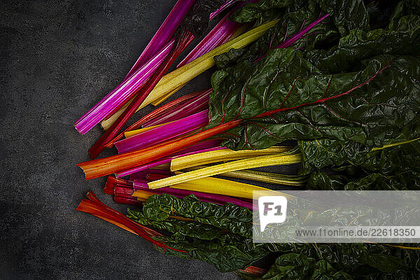 Multicolored organic chard leaves on a black background