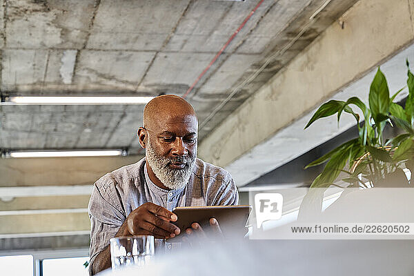 Bald mature man using digital tablet at building terrace